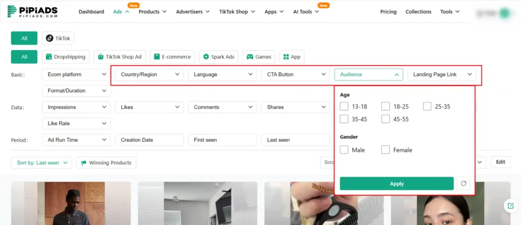 GEO and Demographic Targeting Filters by PiPiADS