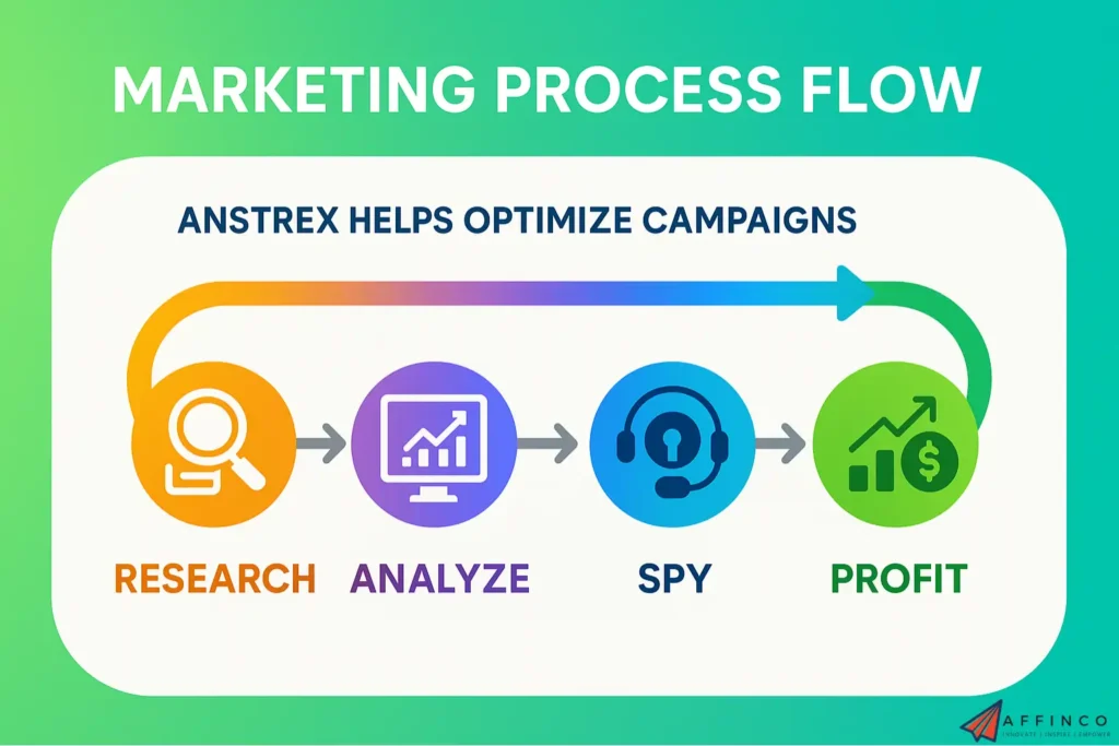 Anstrex Marketing Process Flow