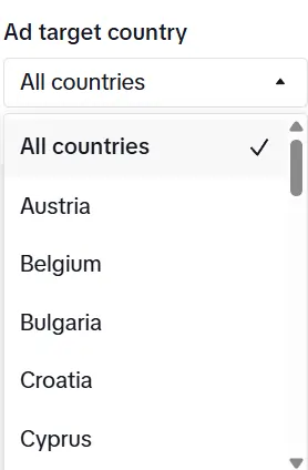 Tiktok ads Filtering Options