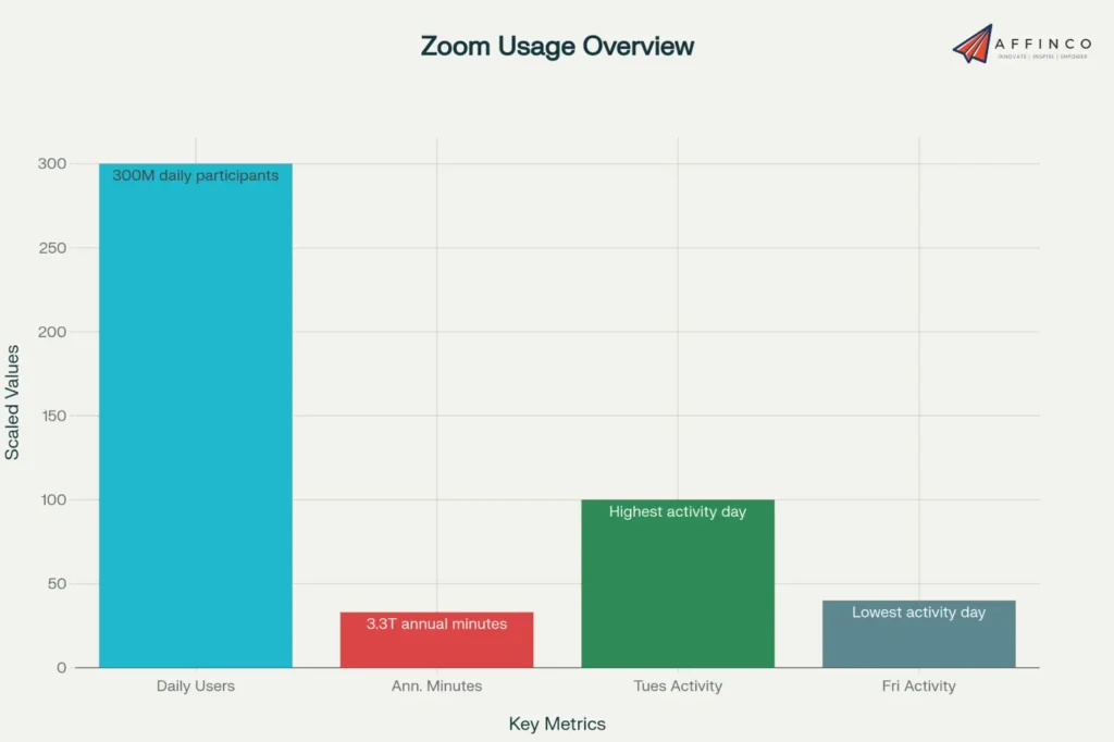 Zoom Usage Overview