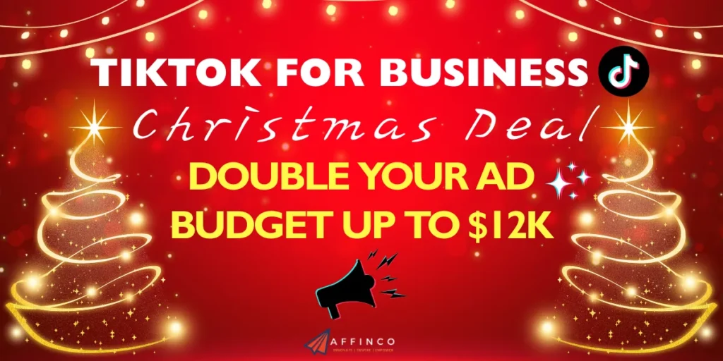 TikTok For Business Christmas Deal