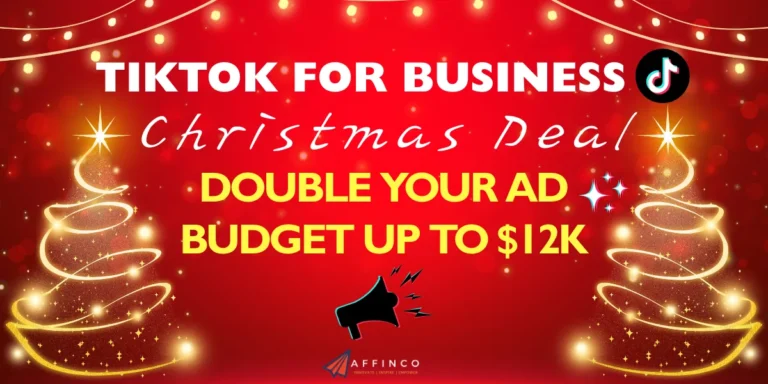 TikTok For Business Christmas Deal