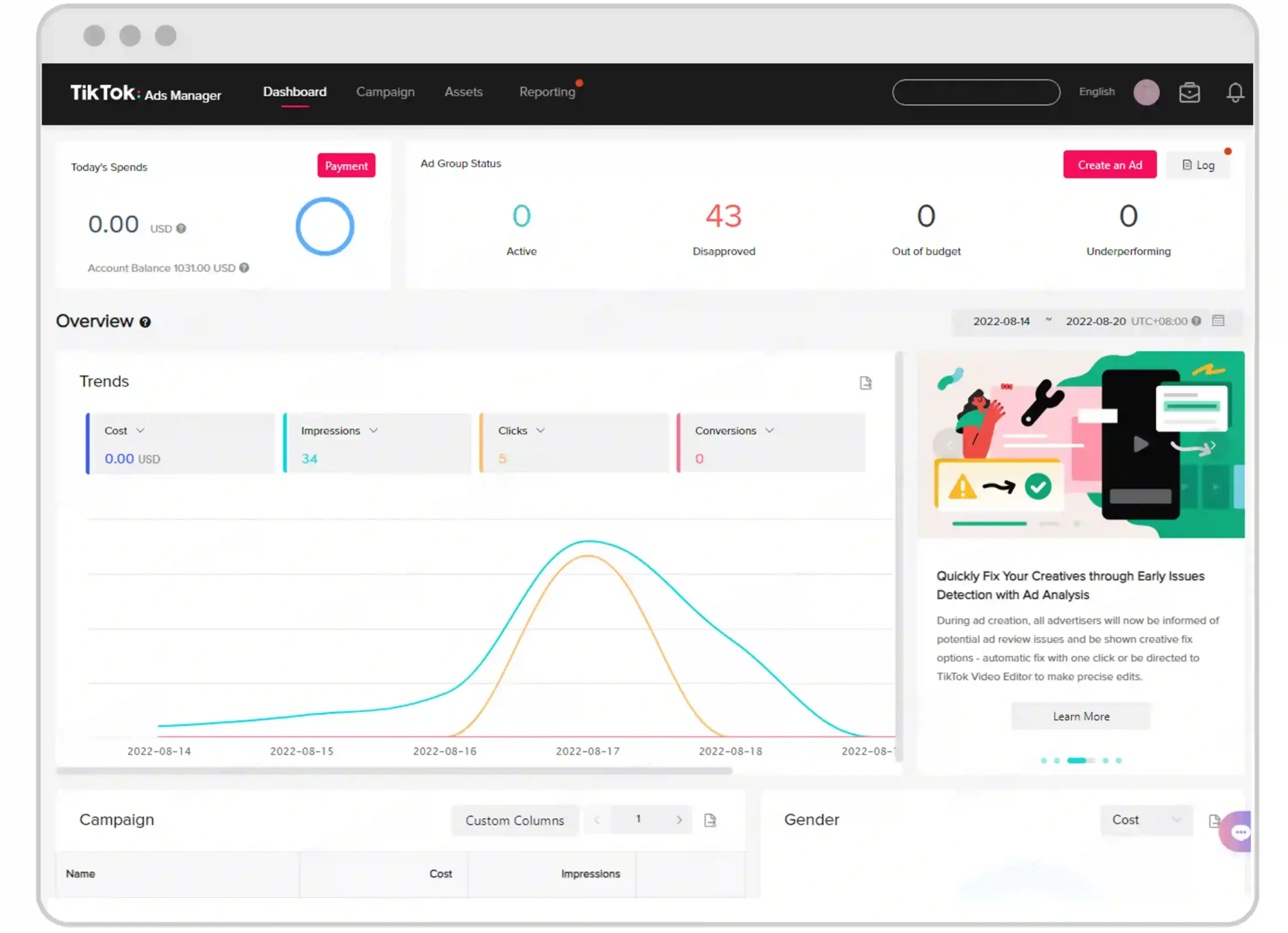 TikTok For Business Dashboard
