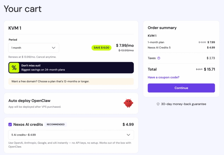 Select the Hosting VPS plan and complete the purchase